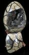 Septarian Dragon Egg Geode With Removable Section #33505-2